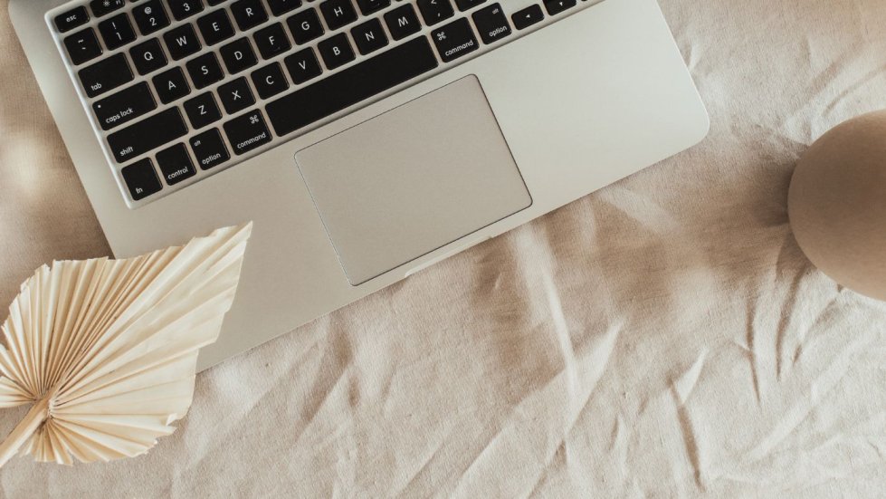 Laptop beige cover image